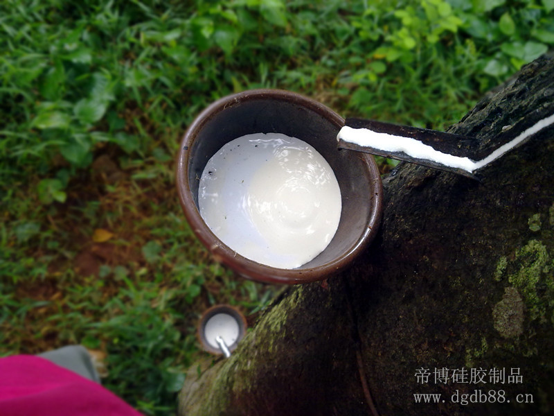 帝(dì)博矽膠(jiāo)製品廠(chǎng)家